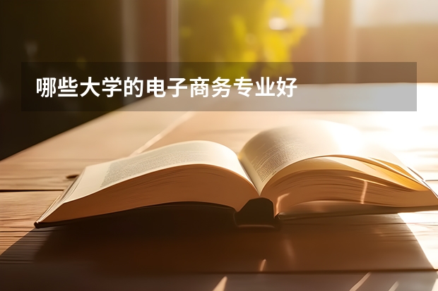哪些大學(xué)的電子商務(wù)專(zhuān)業(yè)好
