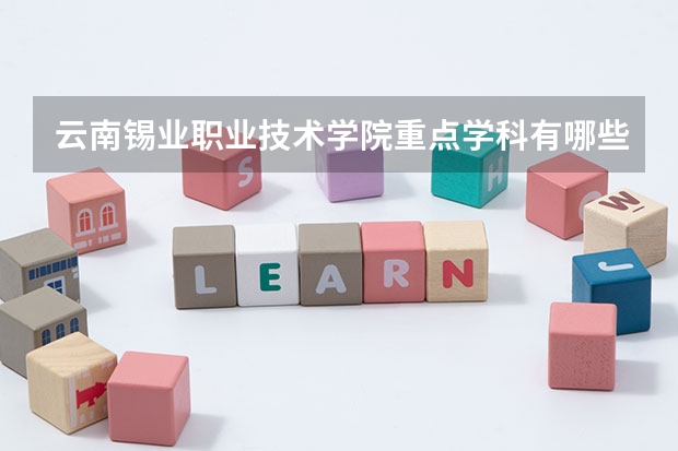 云南錫業(yè)職業(yè)技術學院重點學科有哪些 學科評估說明