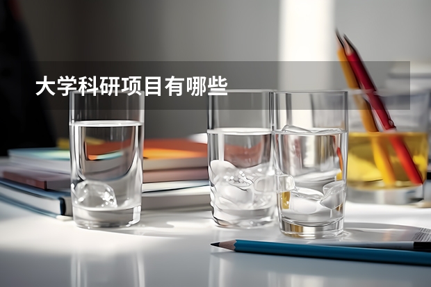 大學(xué)科研項(xiàng)目有哪些