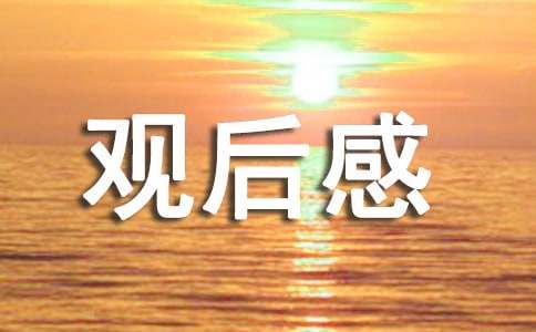 誤殺3觀后感（精選8篇）
