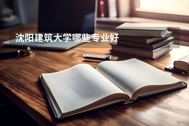沈陽建筑大學(xué)哪些專業(yè)好