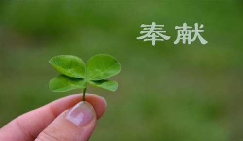 奉獻的好詞好句