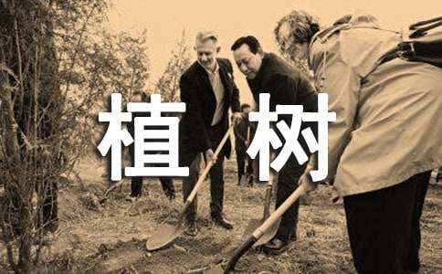 植樹(shù)的希望看圖作文