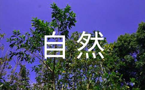 云南昆明的自然風(fēng)光作文