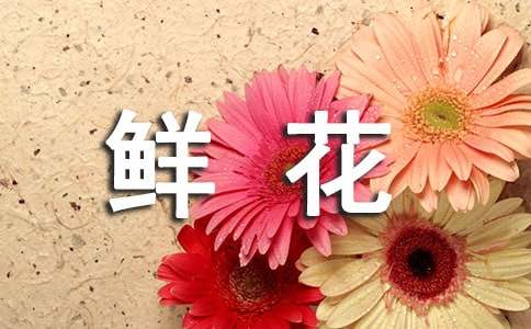 鮮花與果實(shí)的哲理勵(lì)志故事