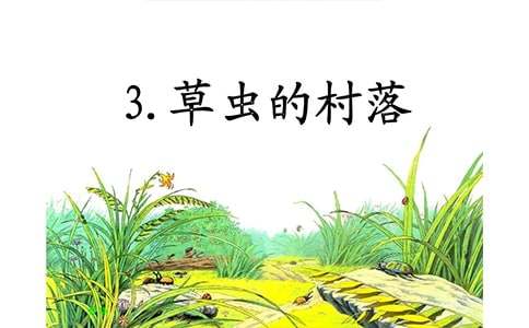 草蟲的村落教學(xué)設(shè)計(jì)及反思