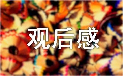 觀看交通安全大篷車紅色之旅直播觀后感