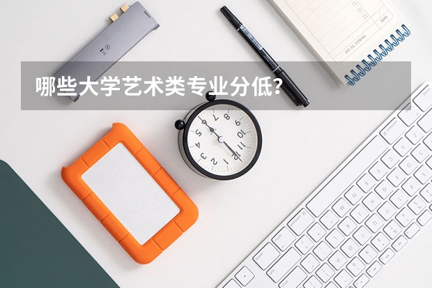 哪些大學(xué)藝術(shù)類專業(yè)分低？