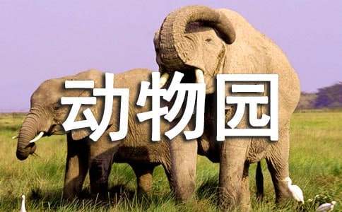 小學(xué)生寫參觀動(dòng)物園的英語(yǔ)作文