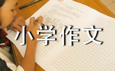 說說我自己小學(xué)作文(精選15篇)