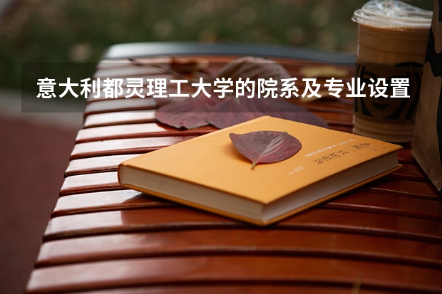 意大利都靈理工大學(xué)的院系及專業(yè)設(shè)置（都靈理工大學(xué)四大熱門專業(yè)絕對(duì)不要錯(cuò)過！）