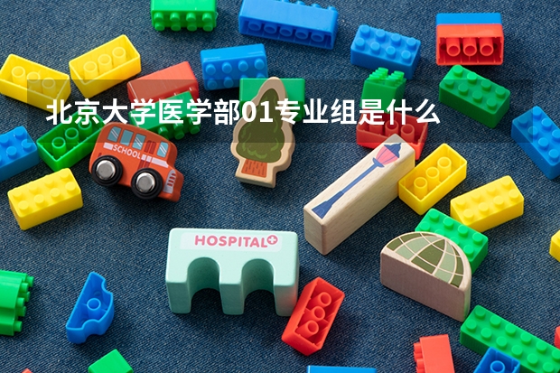 北京大學(xué)醫(yī)學(xué)部01專業(yè)組是什么