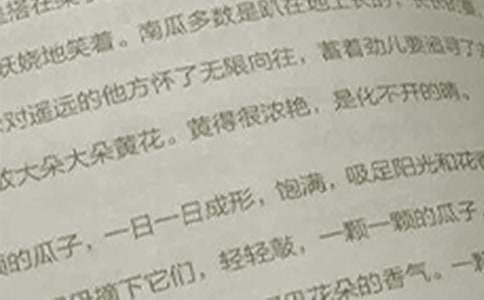 語文教學心得感想范文