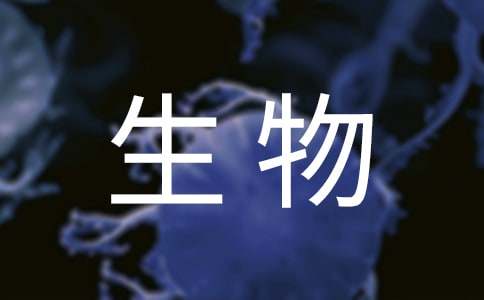 關(guān)于八年級(jí)下學(xué)期生物教學(xué)工作計(jì)劃4篇