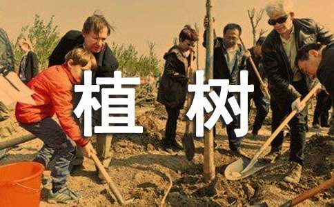 難忘的植樹(shù)活動(dòng)作文