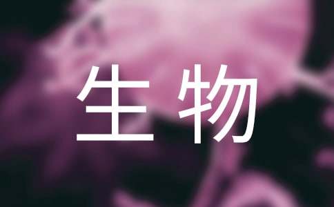 病媒生物調(diào)查報(bào)告