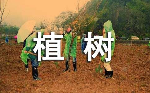 小學(xué)作文：看圖寫(xiě)話――植樹(shù)
