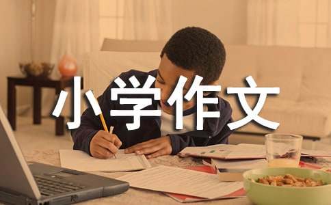 假文盲小學(xué)作文(15篇)【集合15篇】