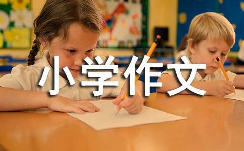 （實(shí)用）假文盲小學(xué)作文