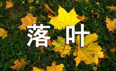 一片落葉小學(xué)作文