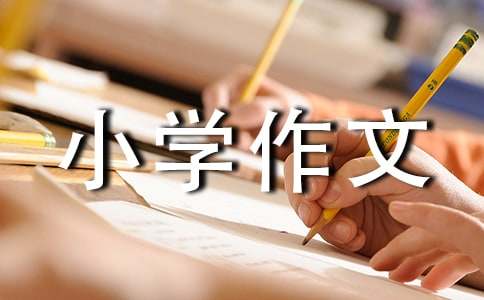 夸夸自己小學作文