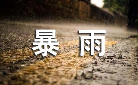 小學(xué)生描寫暴雨的作文