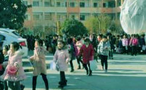 小學(xué)生作文300字匯編5篇