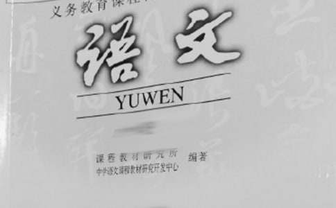 語文教學(xué)總結(jié)及反思合集[15篇]