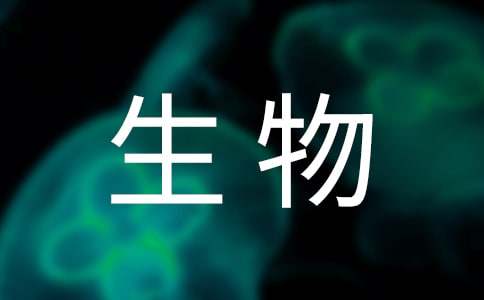生物工程專業(yè)的實(shí)習(xí)報(bào)告
