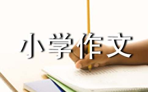 眼中的自己小學(xué)作文