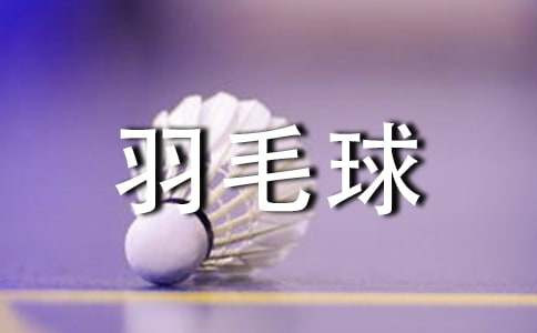 關于打羽毛球小學生作文300字四篇