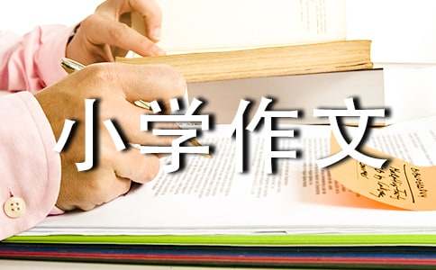 為自己喝彩的小學(xué)作文