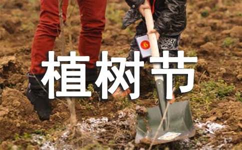 植樹節(jié)參加植樹活動的作文