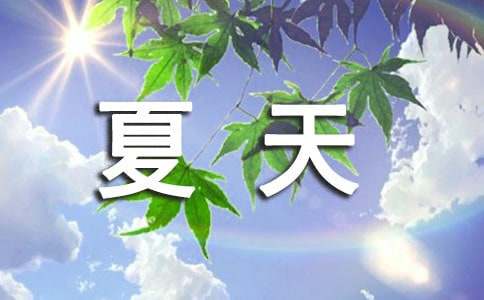 小學(xué)生我喜歡夏天作文