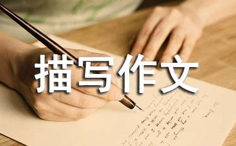 三年級(jí)人物描寫(xiě)作文