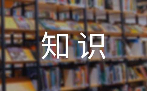 寫作基礎(chǔ)知識